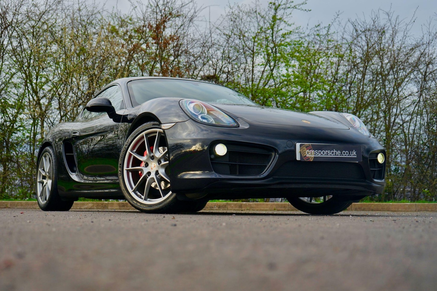 Used Porsche Cayman 2015 for sale - 77909823: Photo 24