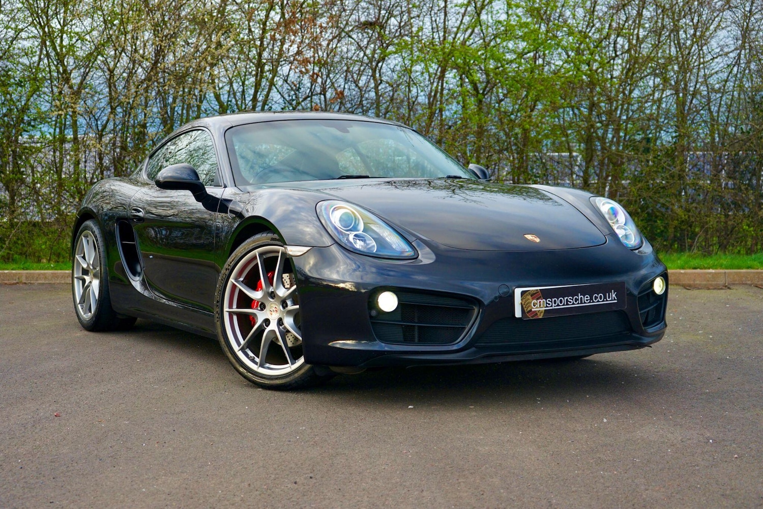 Used Porsche Cayman 2015 for sale - 77909823: Photo 31