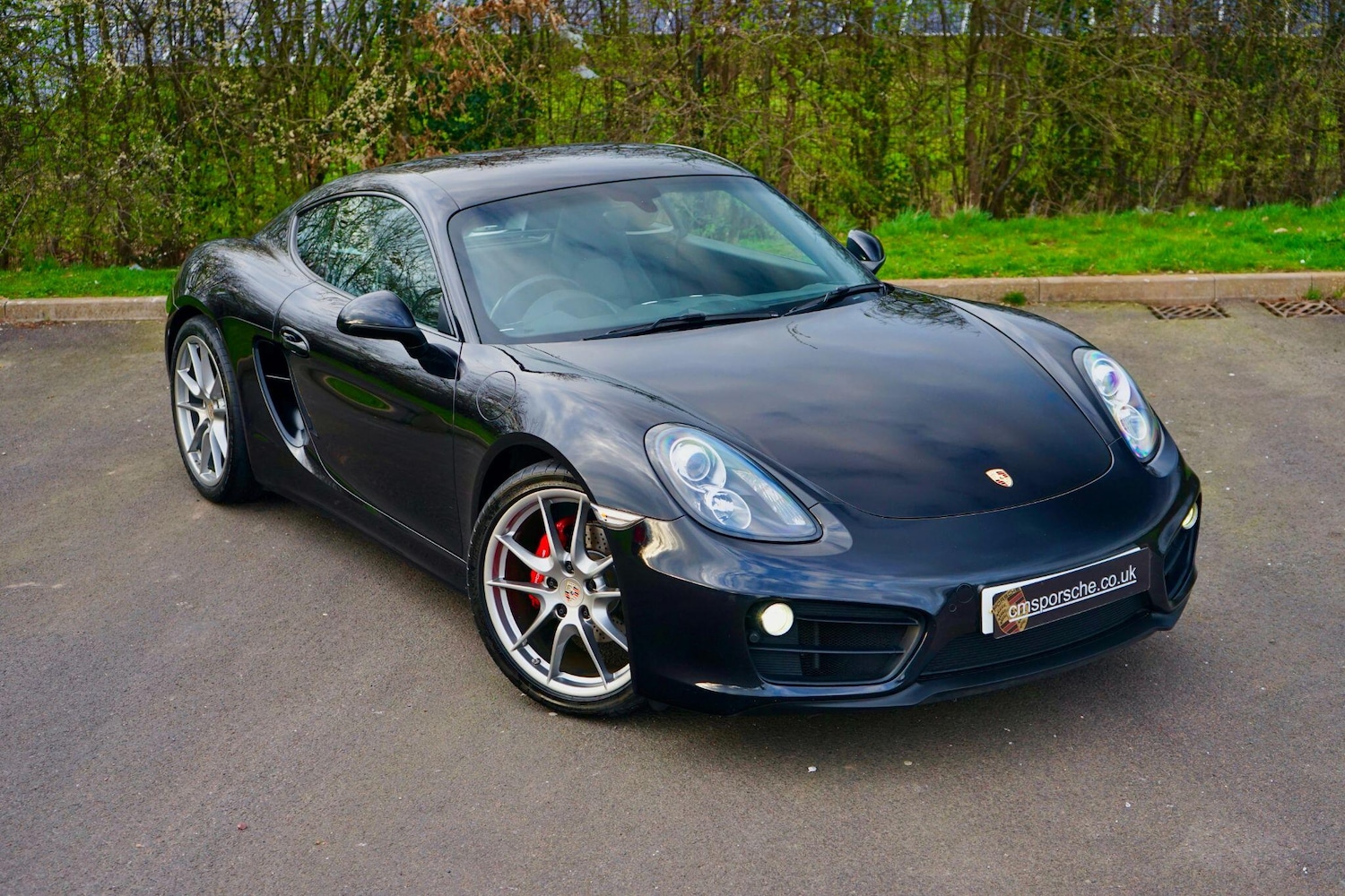 Used Porsche Cayman 2015 for sale - 77909823: Photo 64