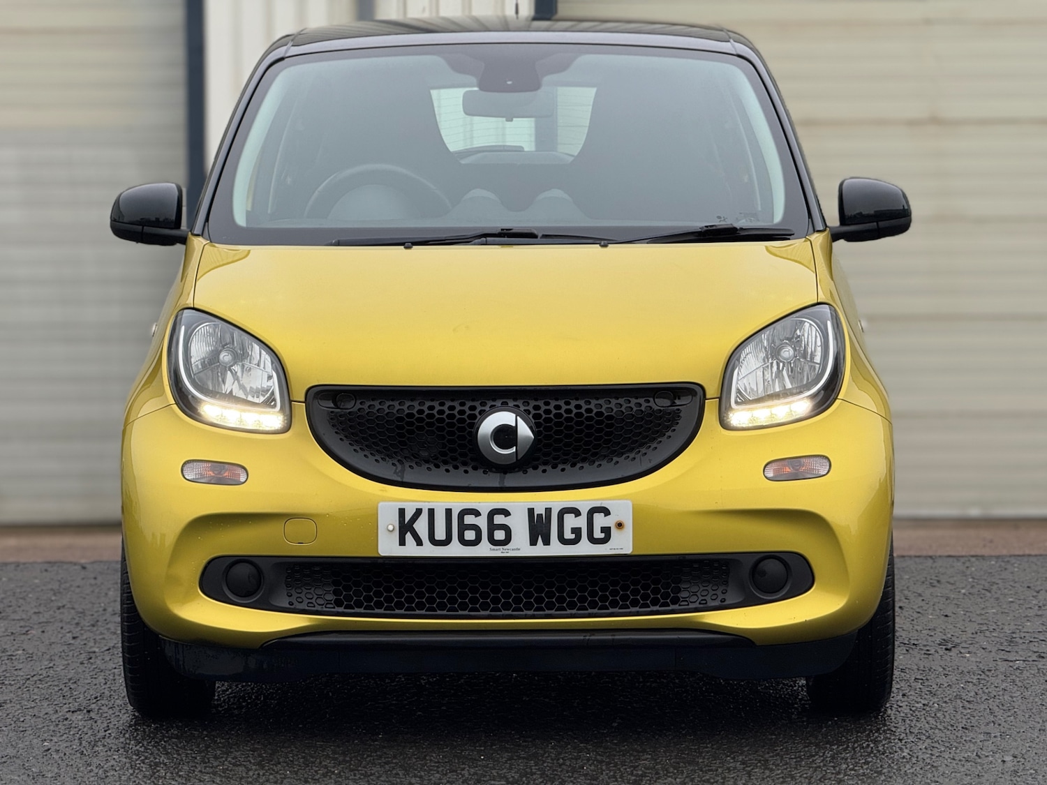 Used smart forfour 2016 for sale - 77247427: Photo 8