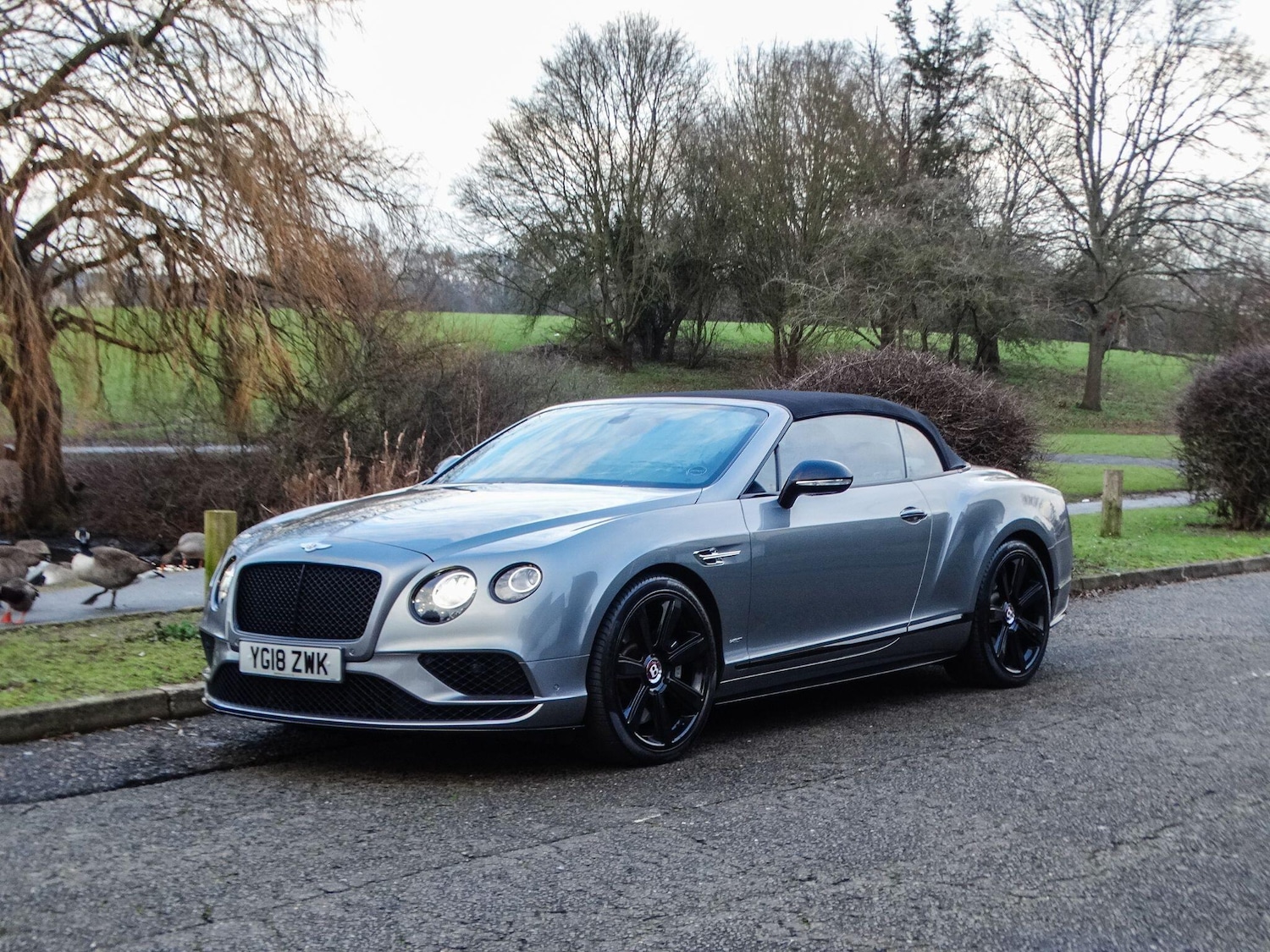 Used Bentley Continental for sale - 77268096: Photo 30