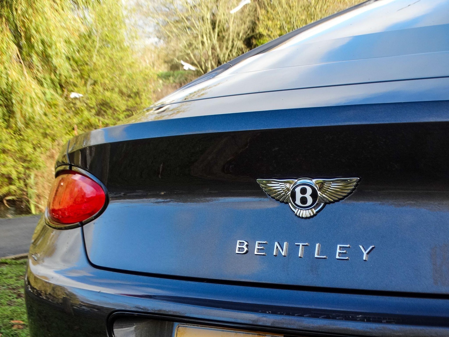 Used Bentley Continental for sale - 76701802: Photo 13