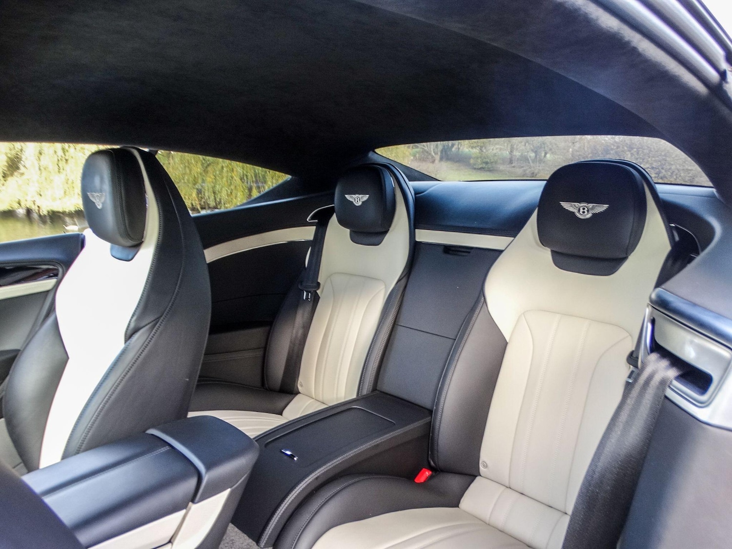 Used Bentley Continental for sale - 76701802: Photo 16