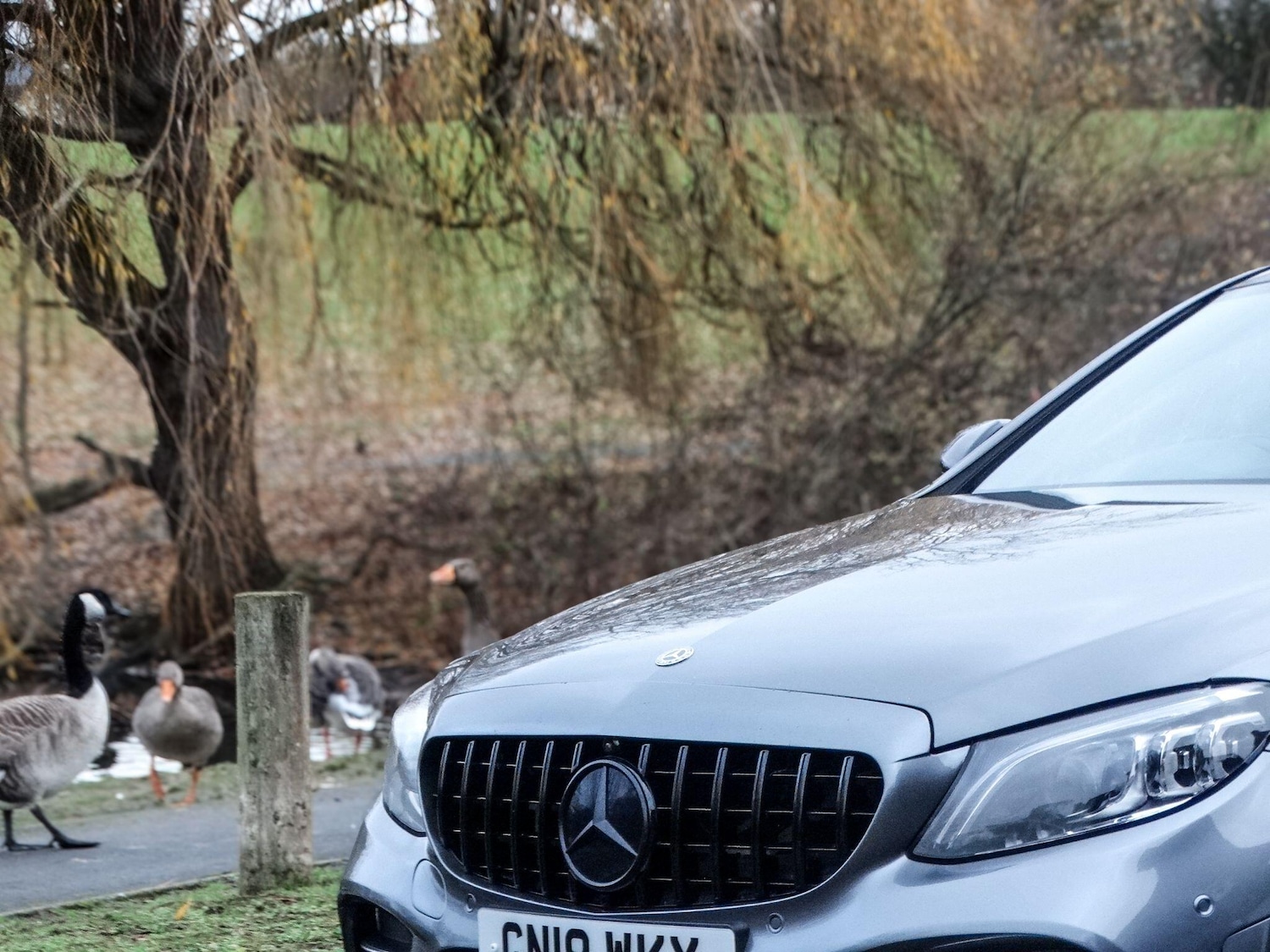 Used Mercedes-Benz C Class 2019 for sale - 77030983: Photo 9