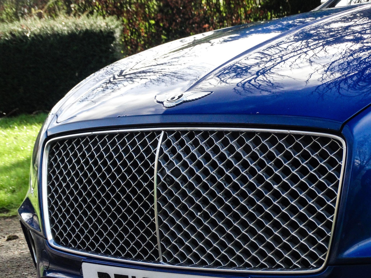 Used Bentley Continental for sale - 76499550: Photo 9