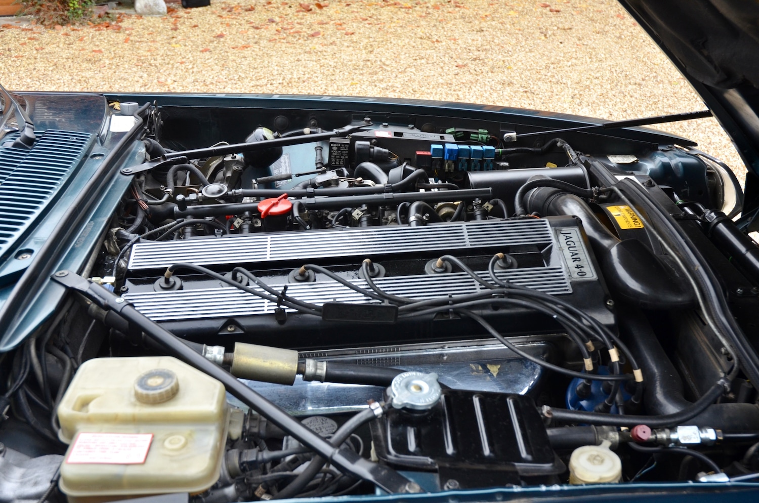 Used Jaguar XJS 2018 for sale - 78106293: Photo 49