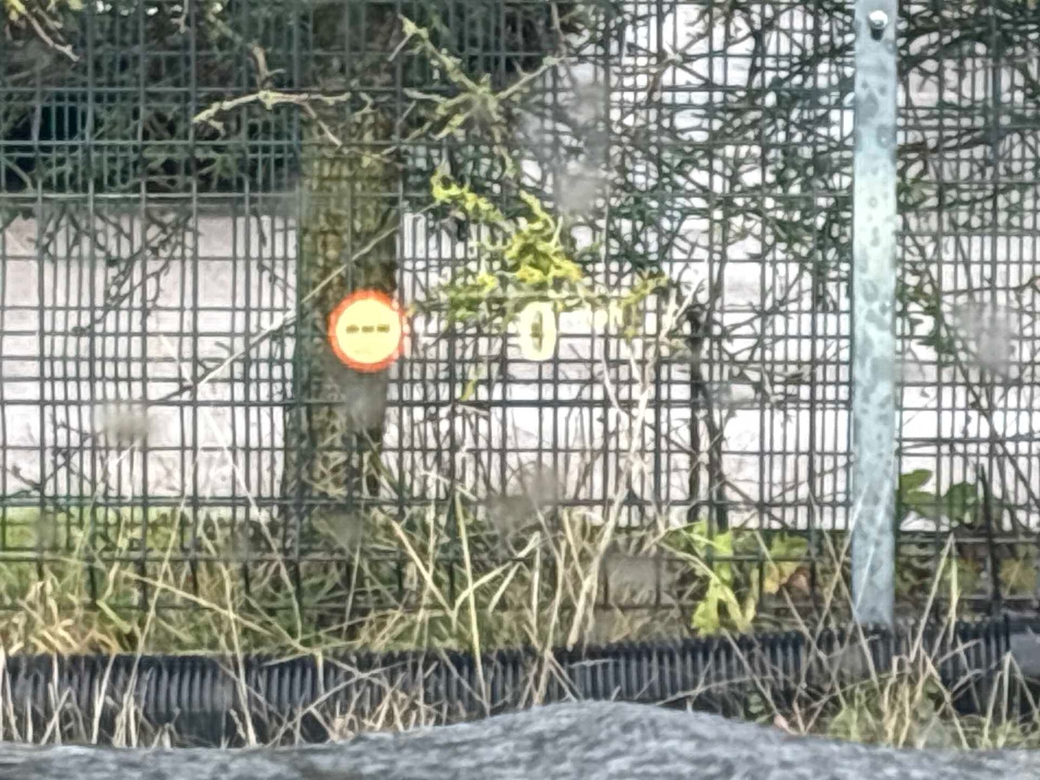 Used BMW iX3 2022 for sale - 77639323: Photo 24