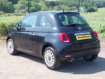 Used Fiat 500 2020 for sale - 79061175: Photo