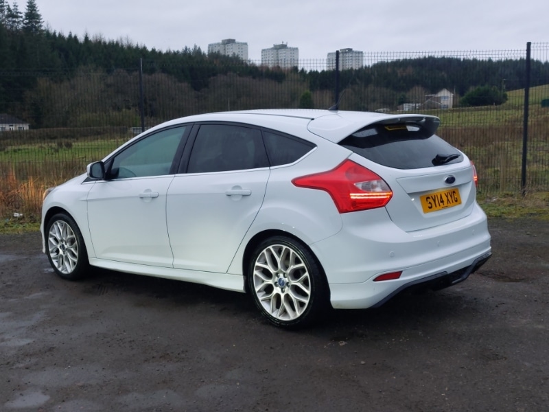 Used Ford Focus 2014 for sale - 77278209: Photo 3