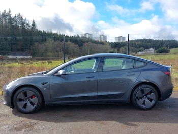 Used Tesla Model 3 2021 for sale - 77933186: Photo