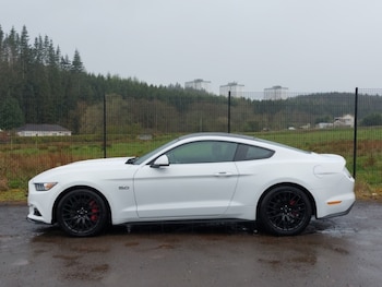 Used Ford Mustang 2018 for sale - 78342462: Photo