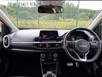 Used Kia Picanto 2023 for sale - 79310999: Photo