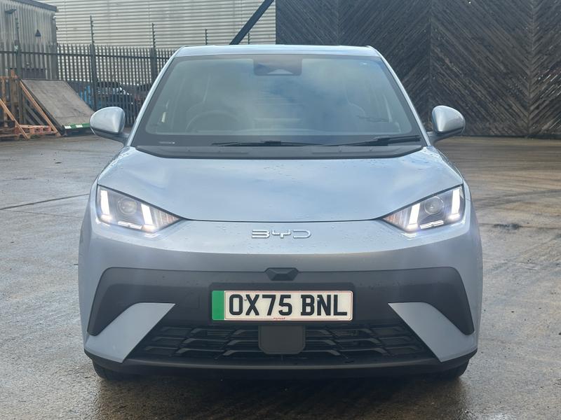 Used BYD Dolphin 2025 for sale - 77152073: Photo 10