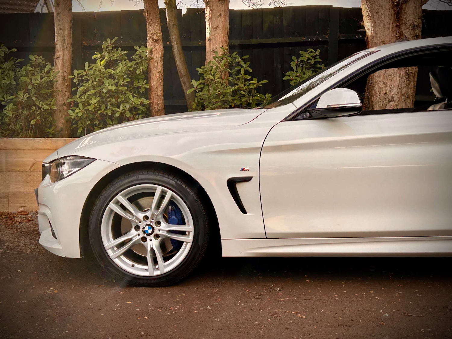 Used BMW 4 Series 2017 for sale - 76896336: Photo 17