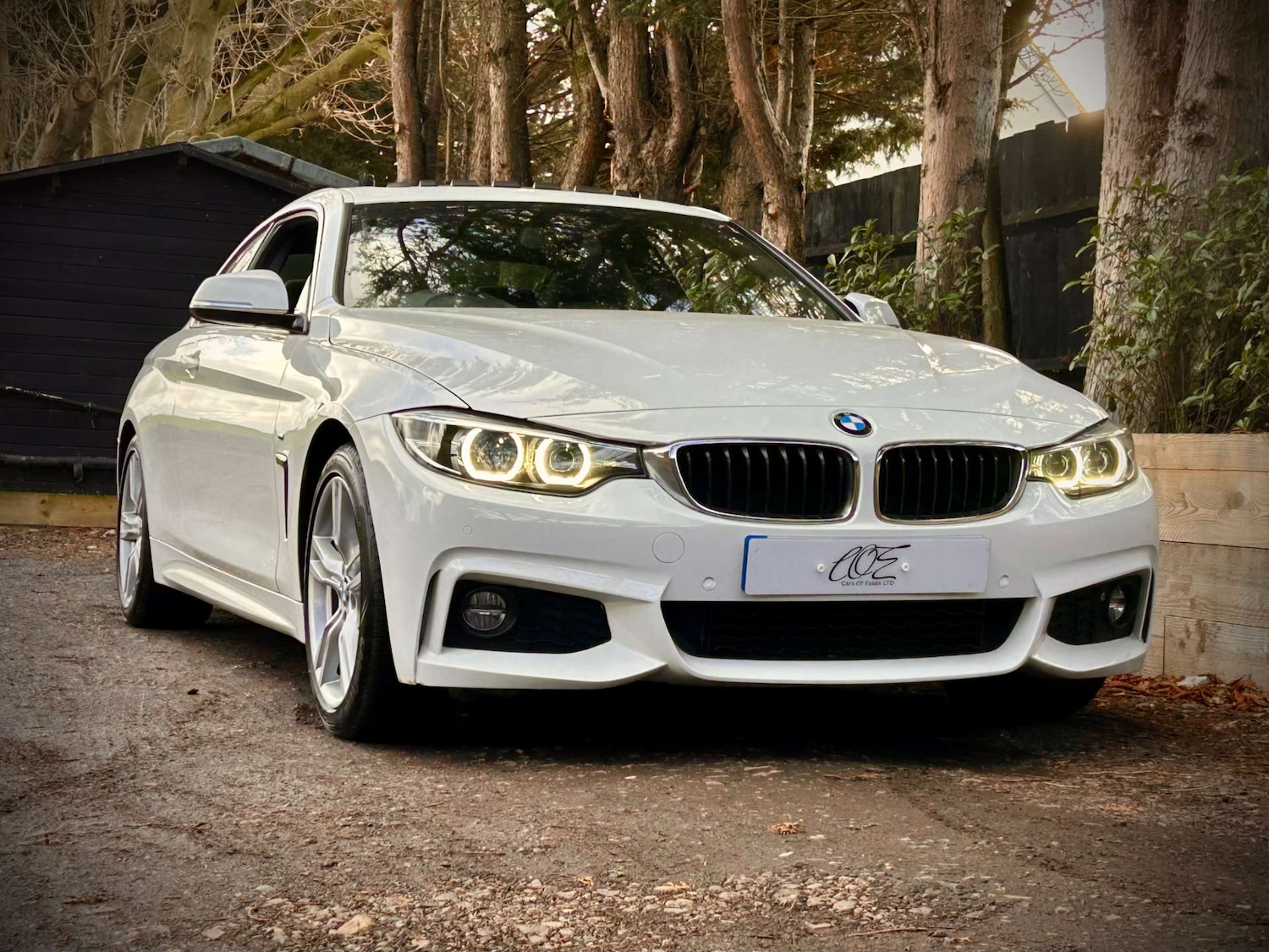 Used BMW 4 Series 2017 for sale - 76896336: Photo 7