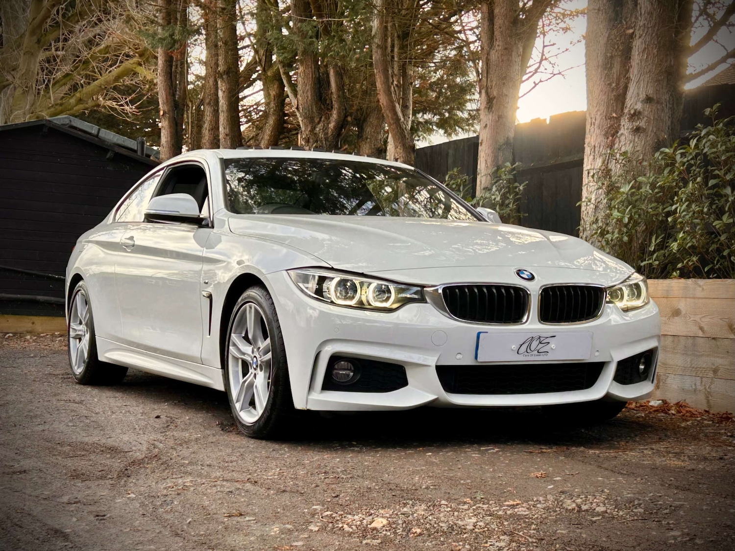 Used BMW 4 Series 2017 for sale - 76896336: Photo 9