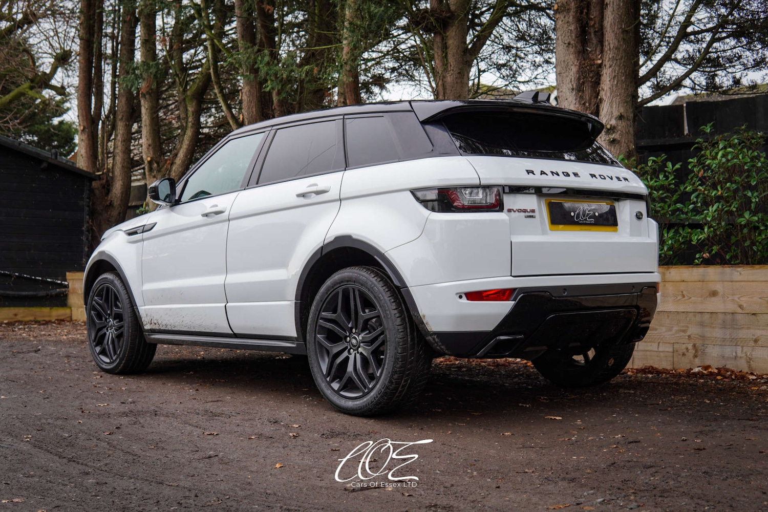 Used Land Rover Range Rover Evoque 2017 for sale - 76969192: Photo 11