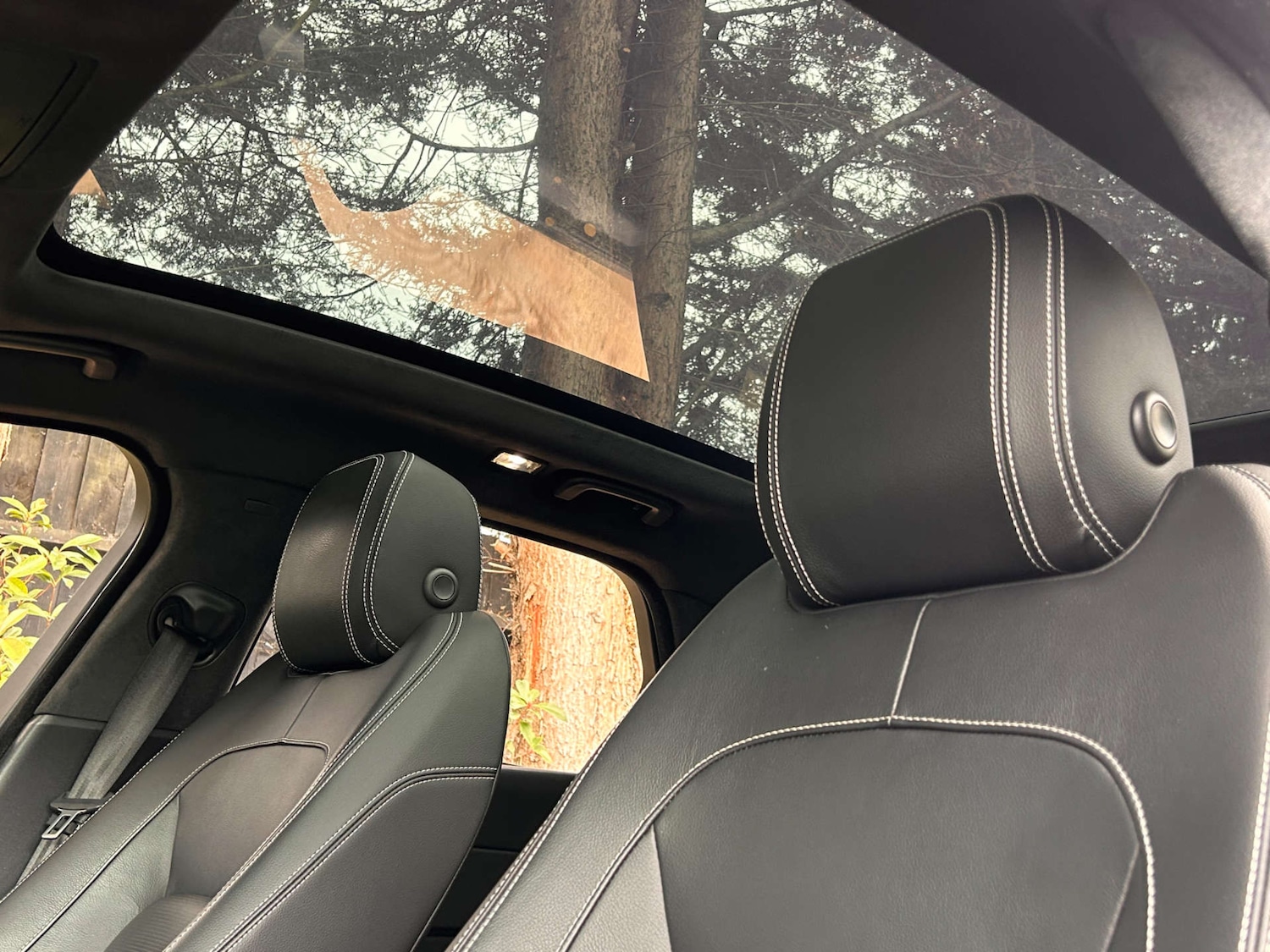 Used Jaguar XF 2020 for sale - 76132413: Photo 2