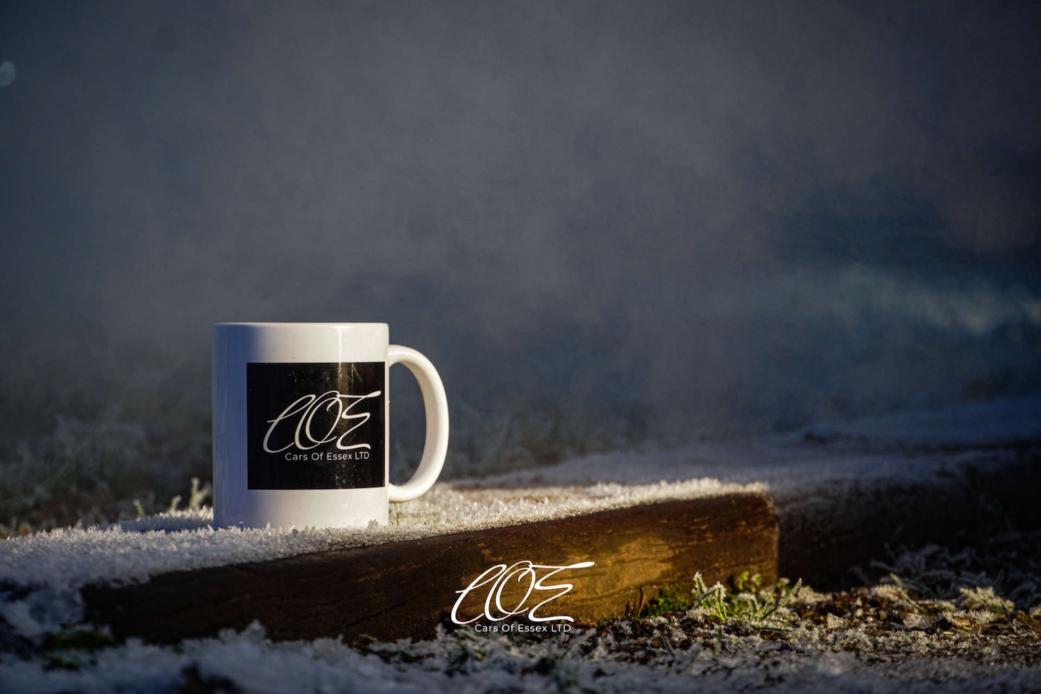 Used DS Automobiles DS 3 2020 for sale - 76533599: Photo 18