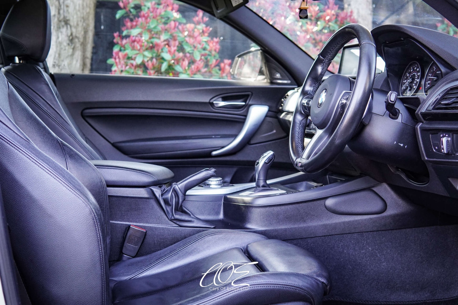 Used BMW 2 Series 2015 for sale - 77933976: Photo 10