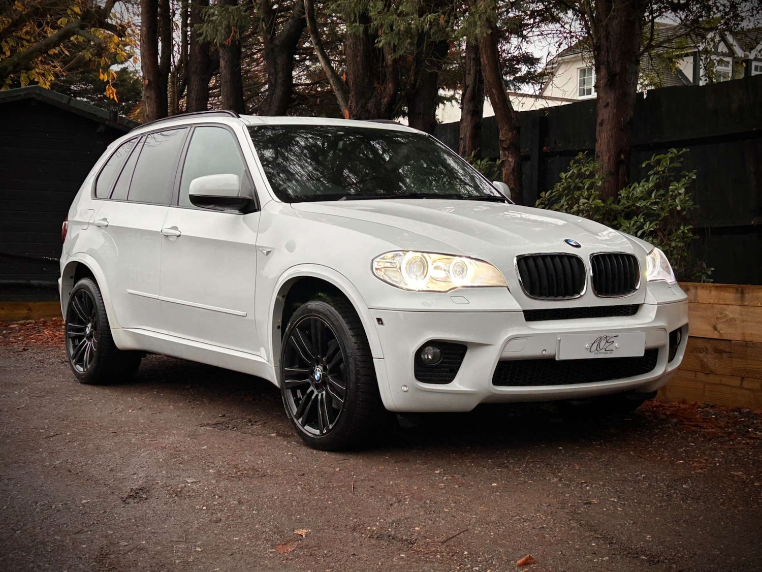 Used BMW X5 2013 for sale - 76618180: Photo 1