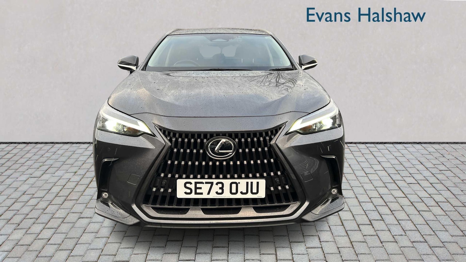 Used Lexus NX 2023 for sale - 76875747: Photo 5