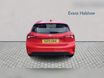 Used Ford Focus 2019 for sale - 79051580: Photo