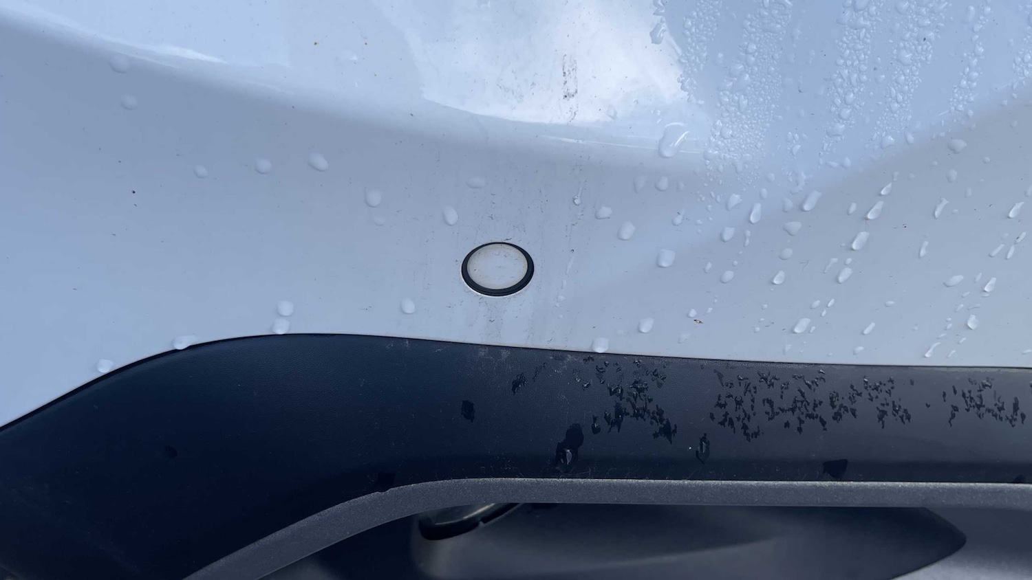 Used Citroen C4 2021 for sale - 76316155: Photo 12