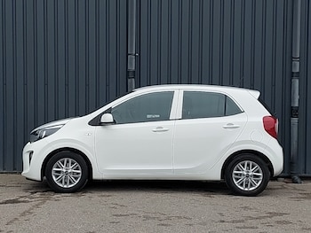 Used Kia Picanto 2023 for sale - 77503763: Photo