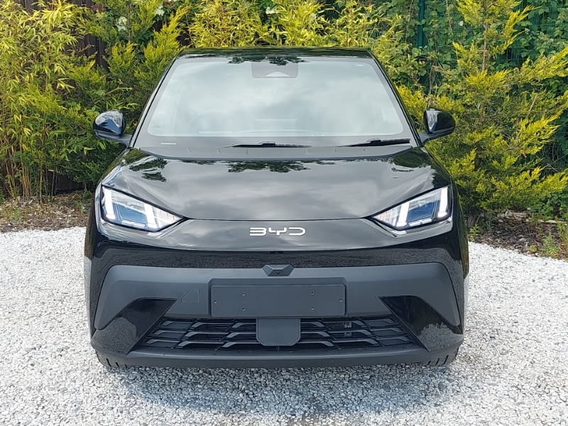 Used BYD Dolphin 2025 for sale - 76544023: Photo 12