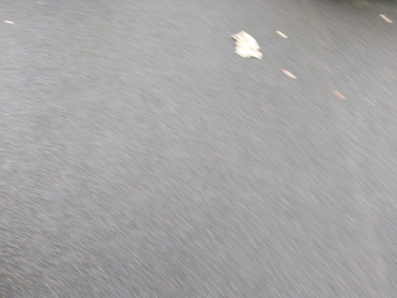 Used MINI Hatch 2022 for sale - 76518994: Photo 6