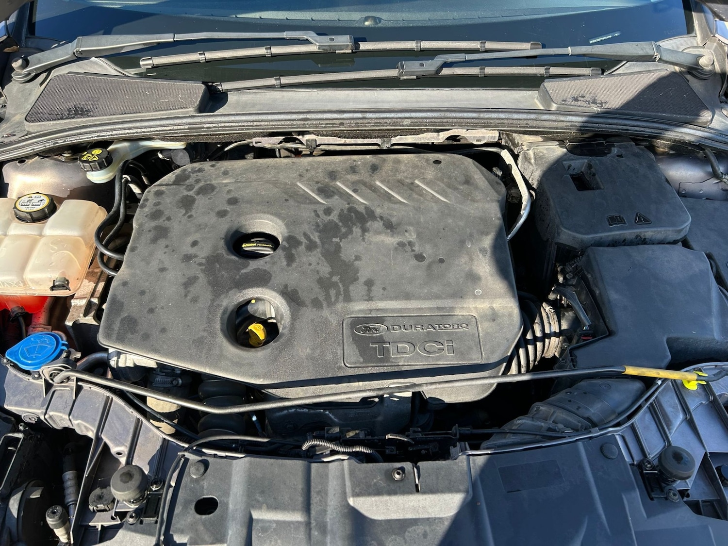 Used Ford Focus 2015 for sale - 76963724: Photo 5