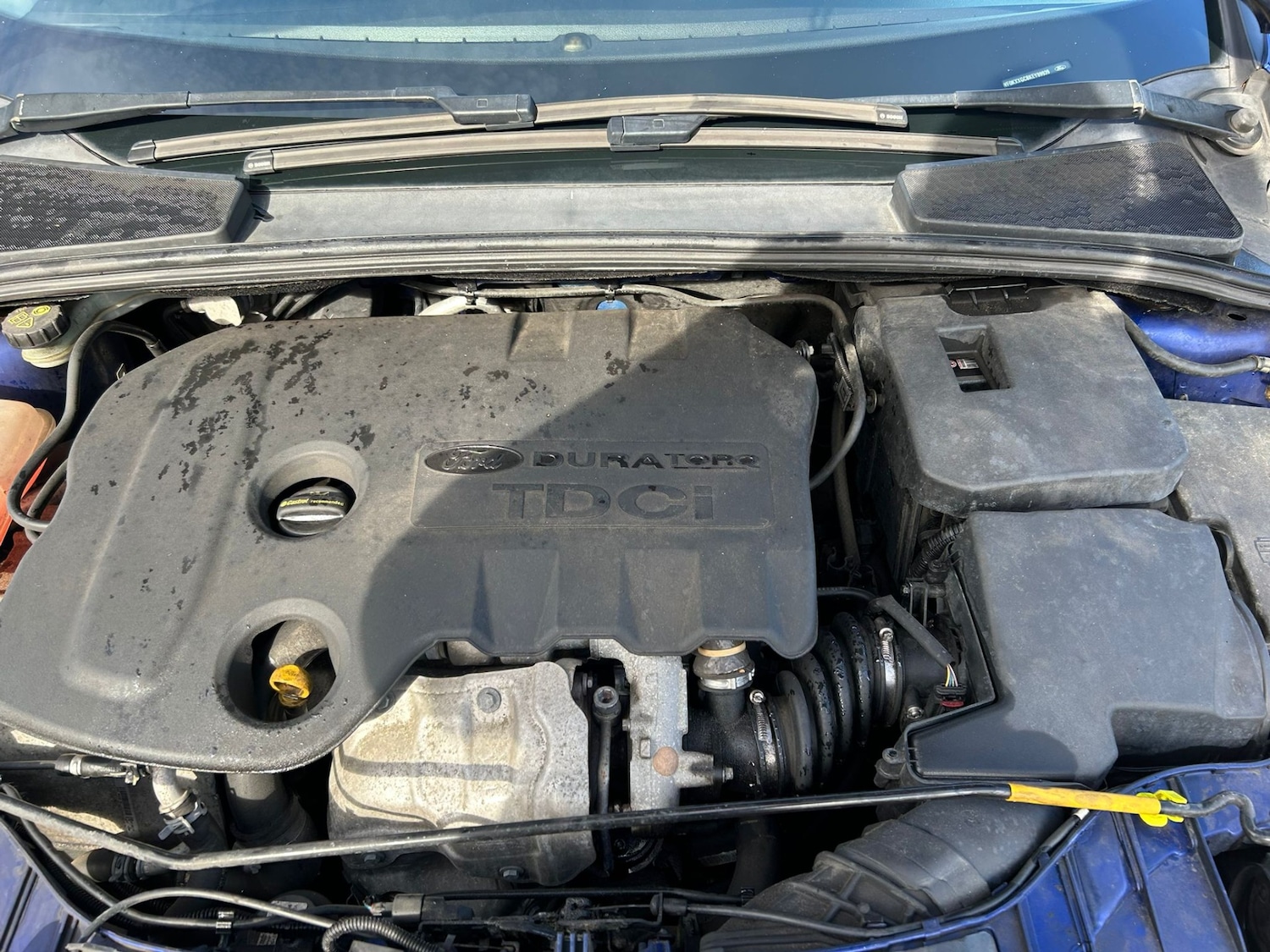 Used Ford Focus 2014 for sale - 76353709: Photo 6
