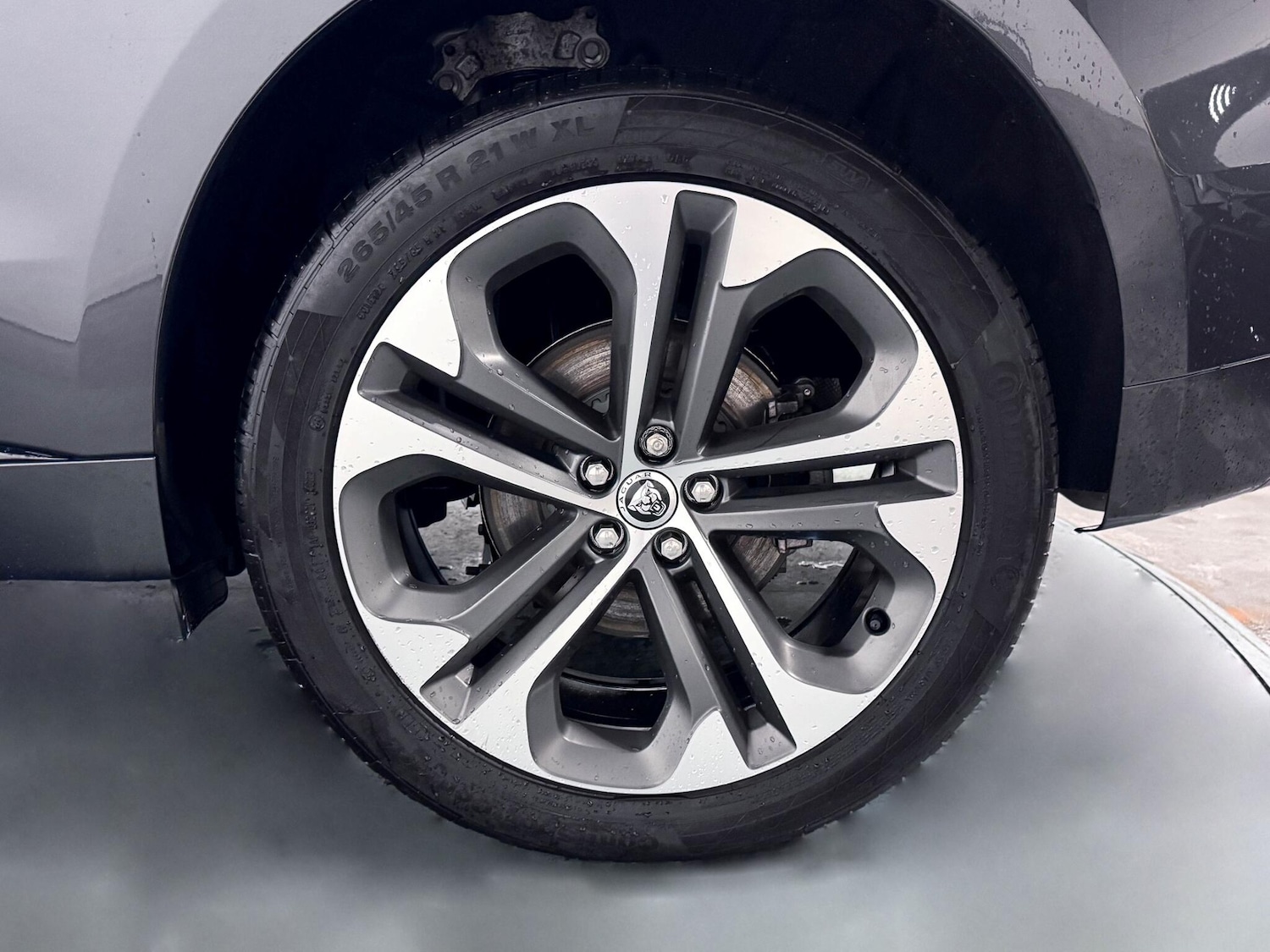 Used Jaguar F-Pace 2024 for sale - 76561863: Photo 66