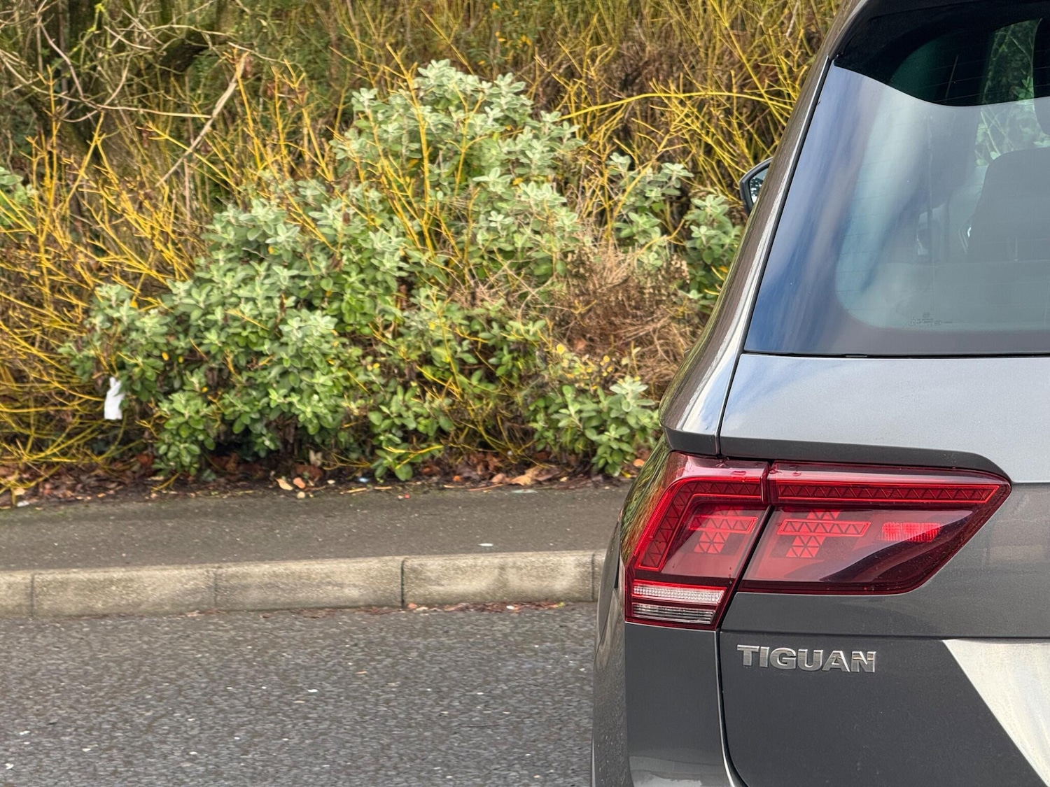 Used Volkswagen Tiguan 2017 for sale - 77052445: Photo 13