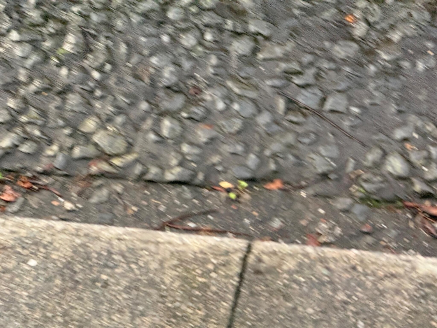 Used Volkswagen Tiguan 2017 for sale - 77052445: Photo 29