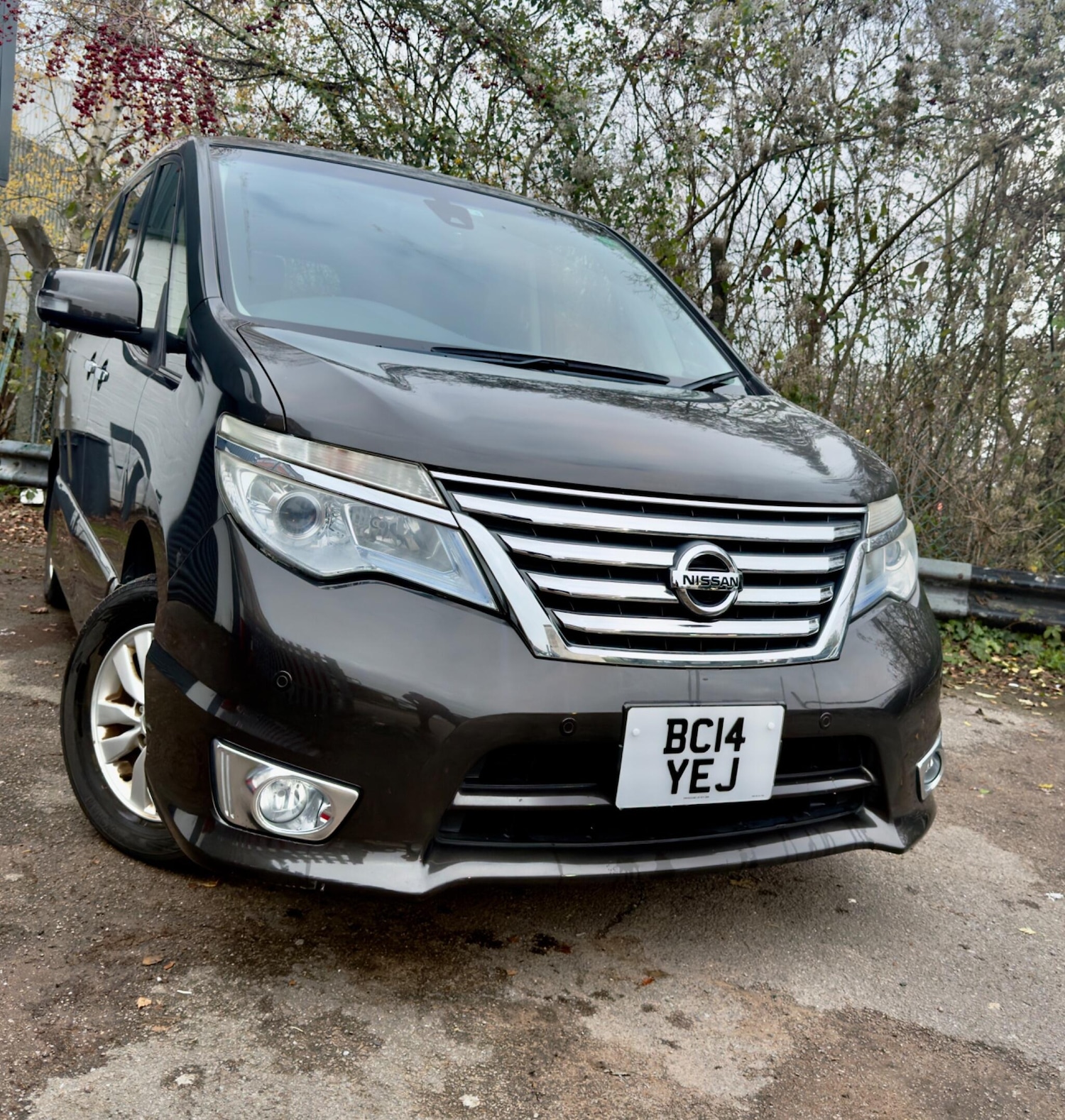 Used Nissan Serena 2025 for sale - 76969792: Photo 6