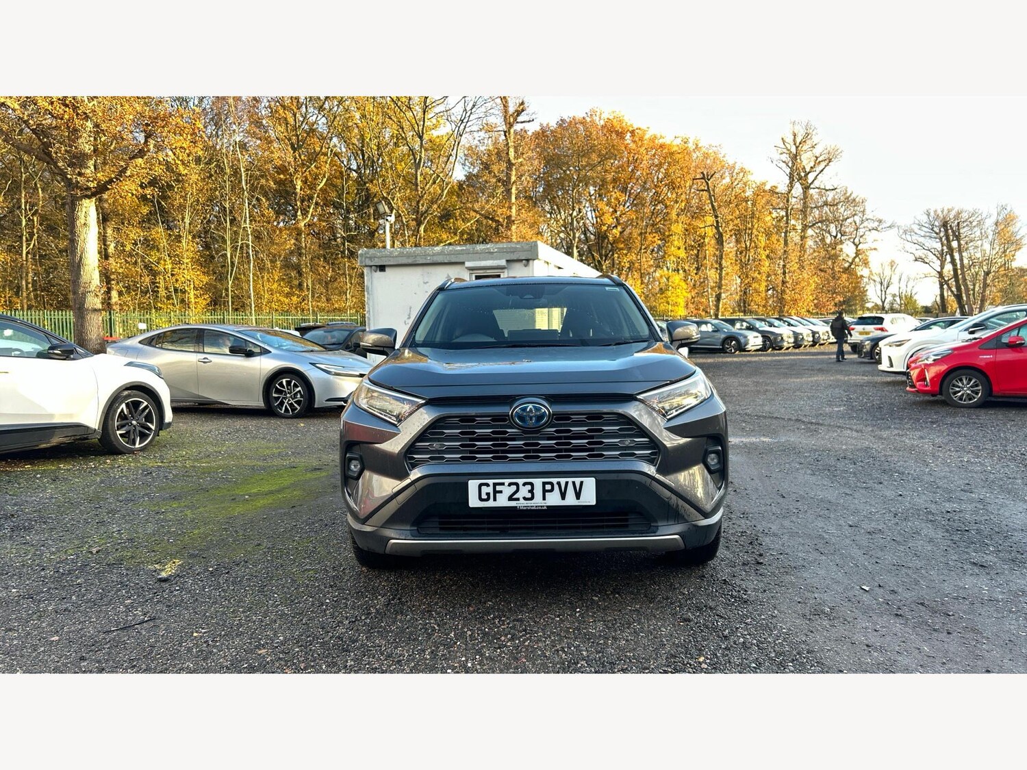 Used Toyota RAV4 2023 for sale - 76780614: Photo 17