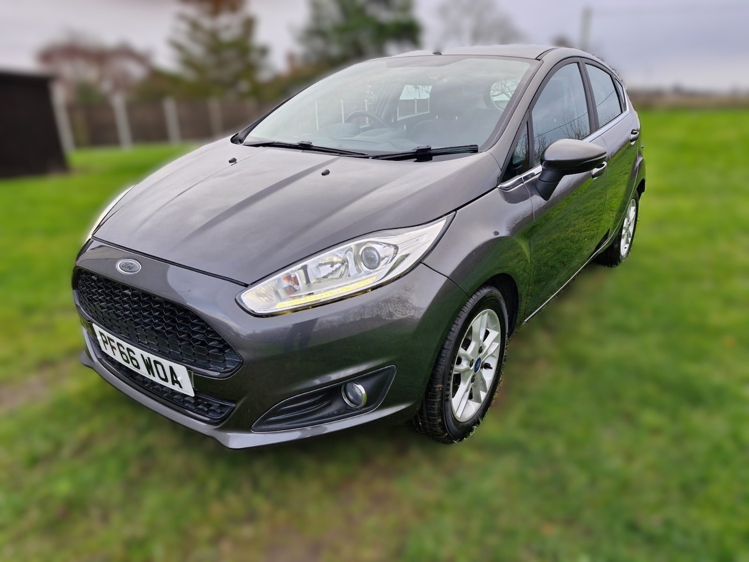 Used Ford Fiesta 2016 for sale - 76985648: Photo 3