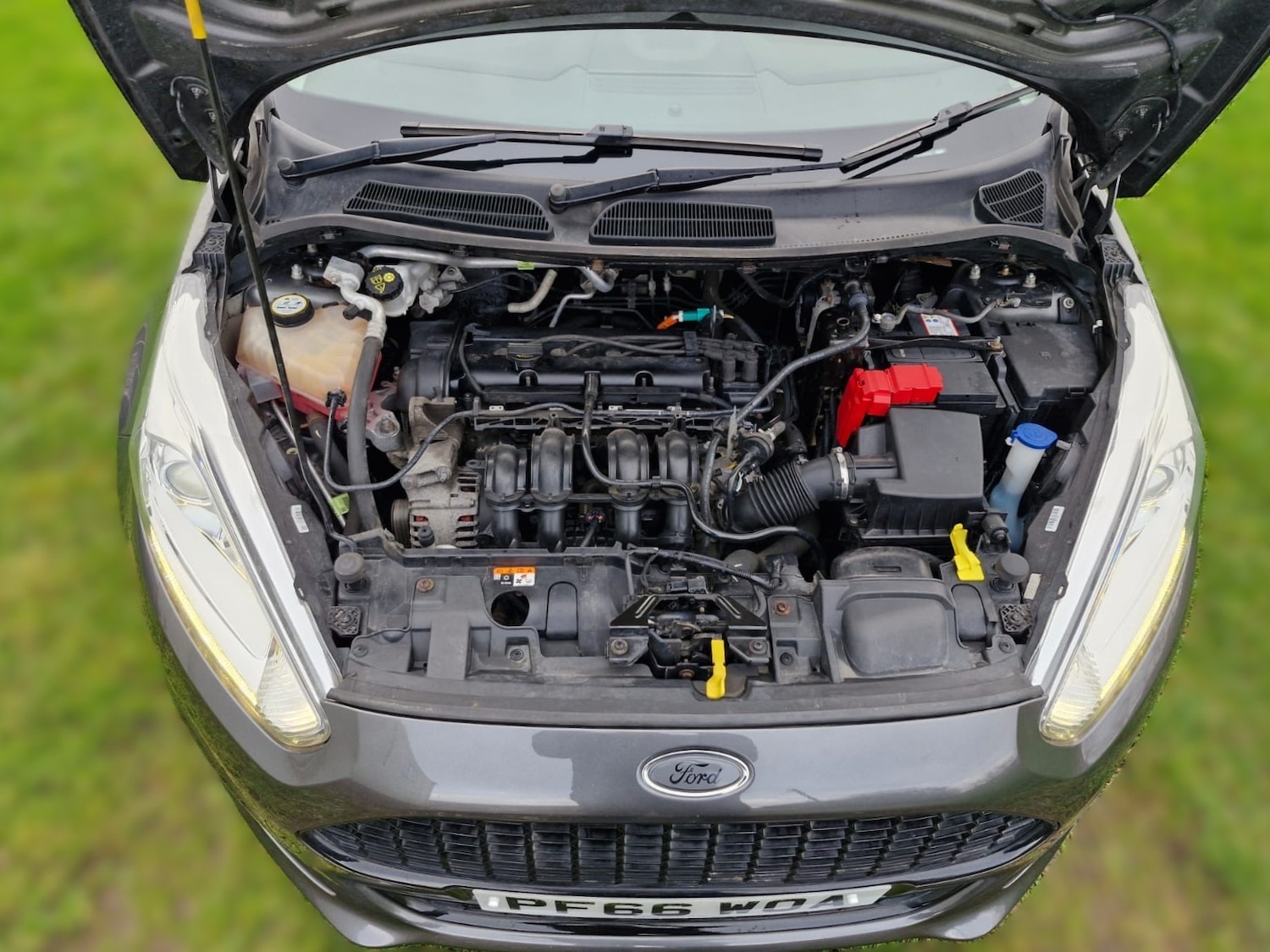 Used Ford Fiesta 2016 for sale - 76985648: Photo 43