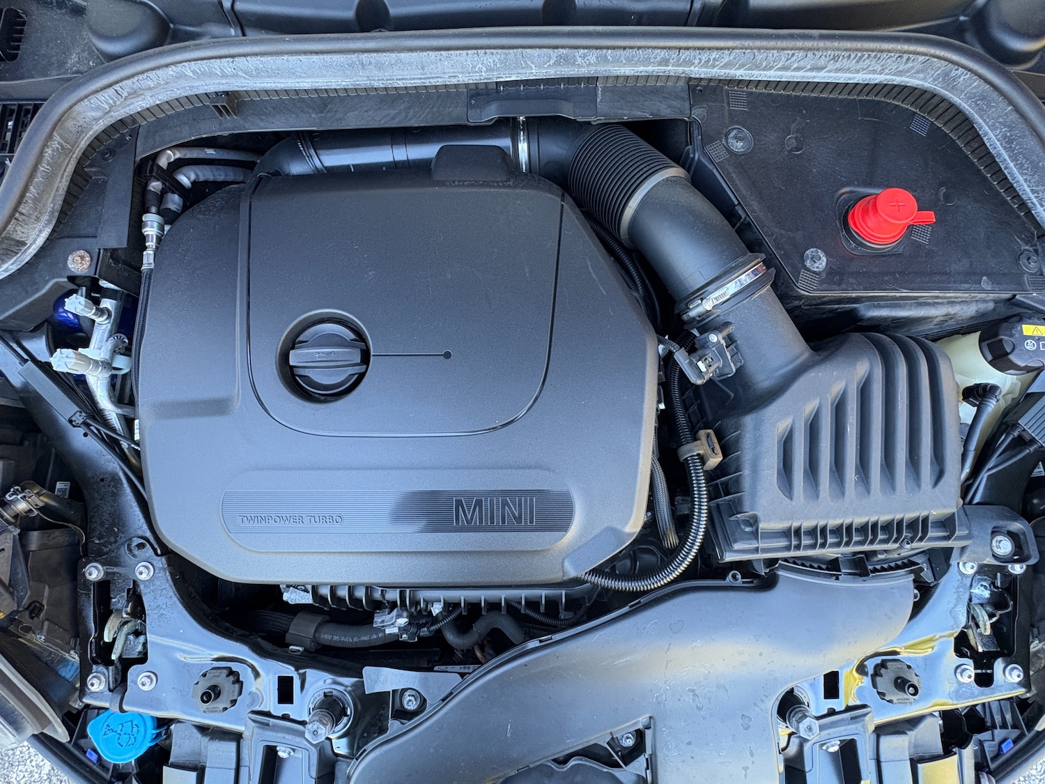 Used MINI Hatch 2019 for sale - 76224994: Photo 48
