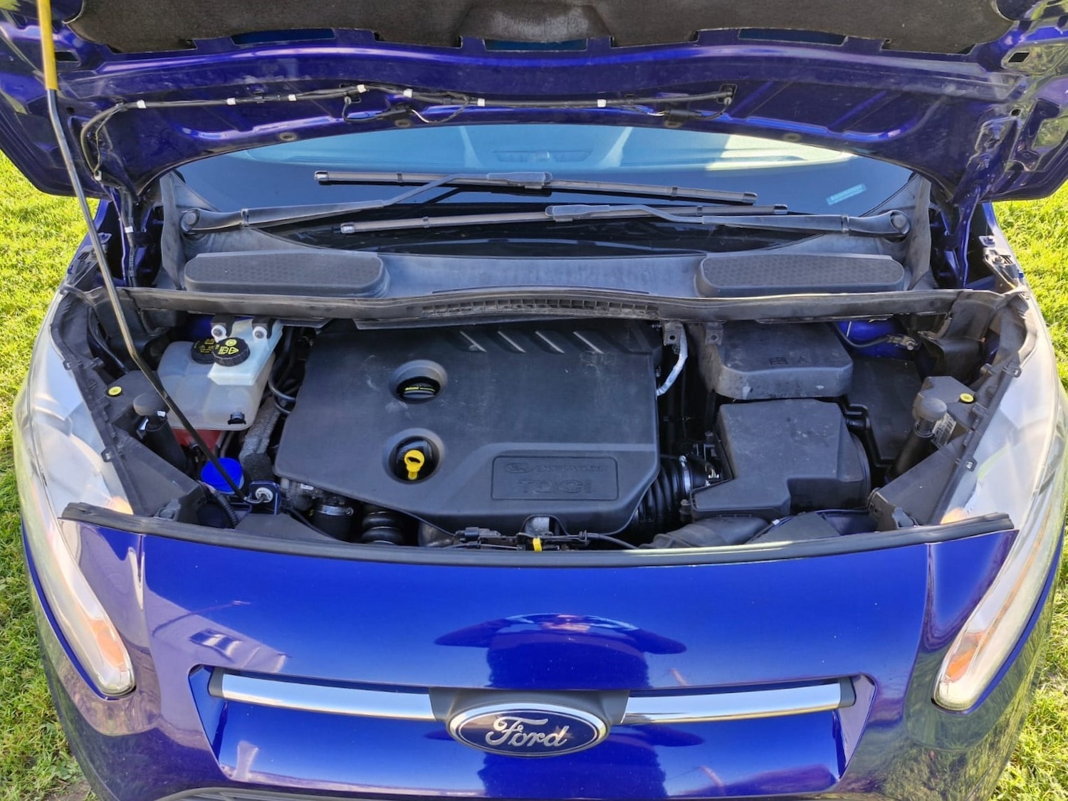 Used Ford Transit Connect 2015 for sale - 76783344: Photo 37