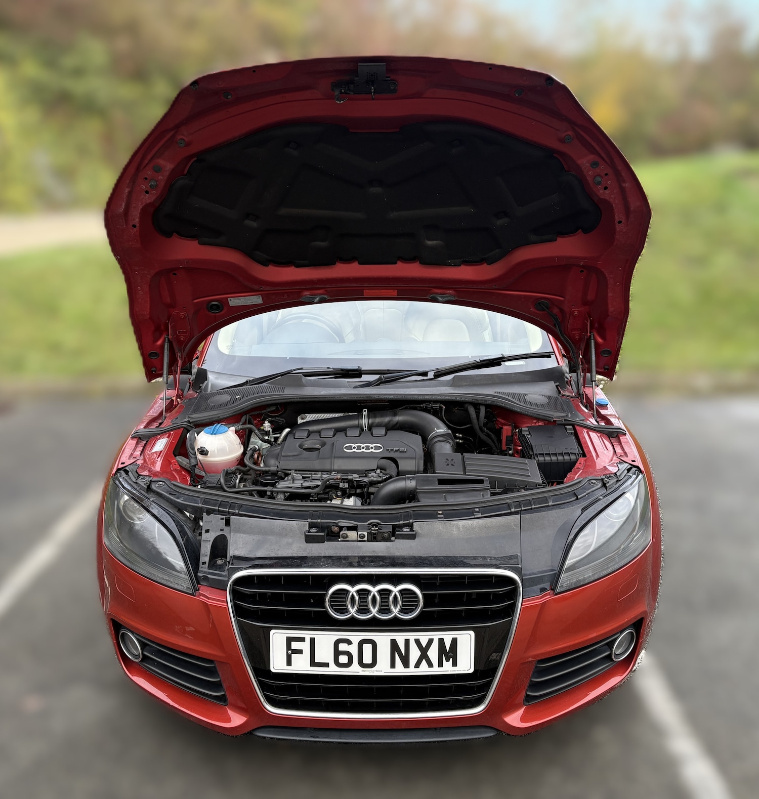 Used Audi TT 2010 for sale - 76836541: Photo 48