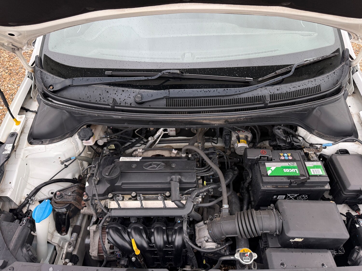 Used Hyundai i20 2016 for sale - 78213368: Photo 36