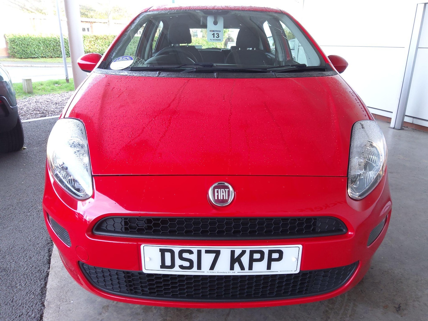 Used Fiat Punto 2017 for sale - 77376322: Photo 4