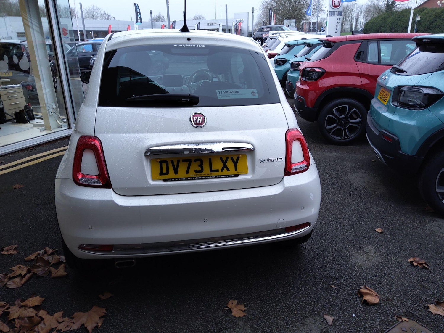 Used Fiat 500 2023 for sale - 77351681: Photo 5