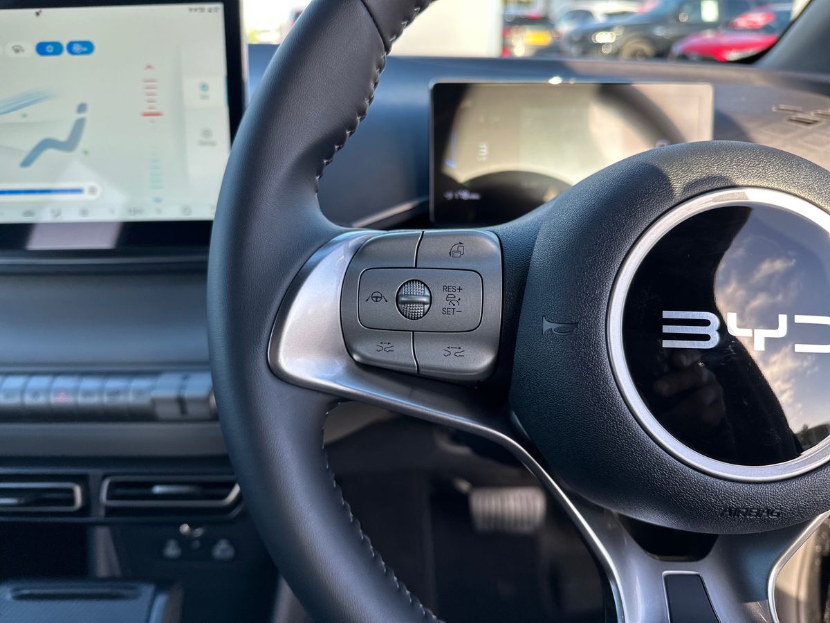 Used BYD Dolphin 2025 for sale - 77739953: Photo 26