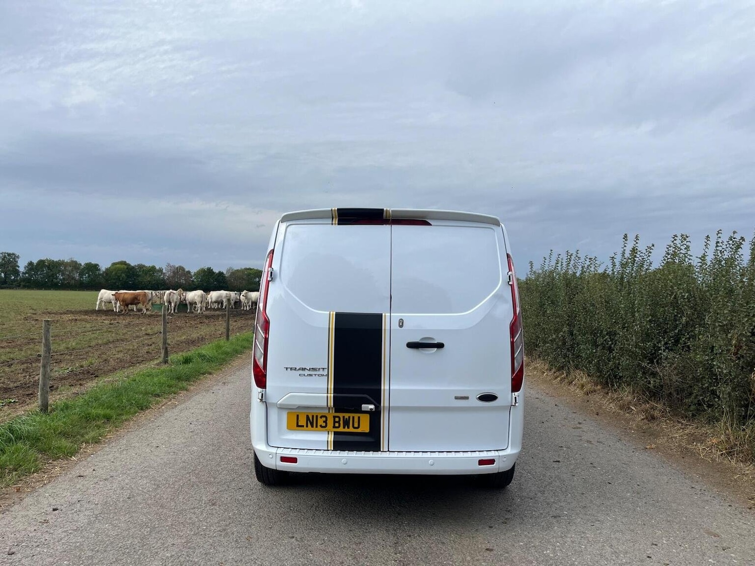 Used Ford Transit Custom 2013 for sale - 77038864: Photo 13