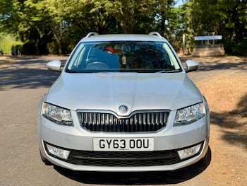 Used Skoda Octavia 2014 for sale - 79541991: Photo