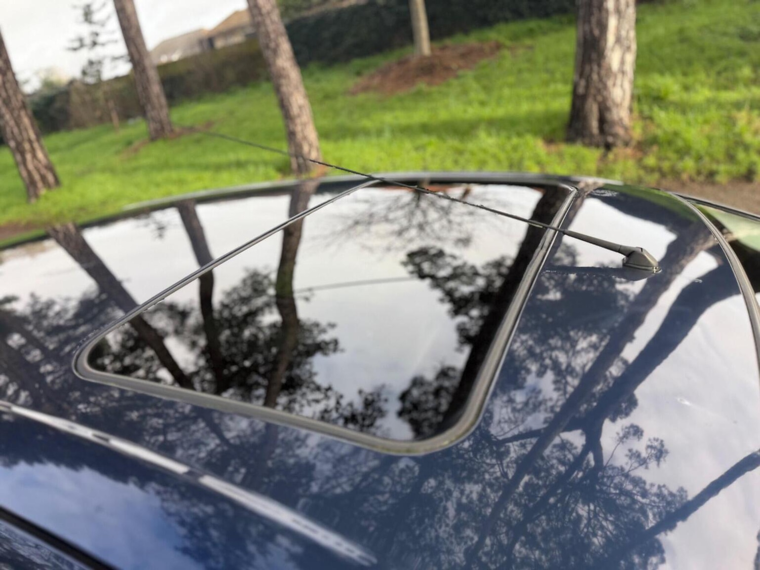 Used Nissan Almera Tino 2004 for sale - 77522042: Photo 7